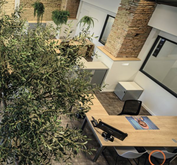 Bureau en mezzanine avec cloisons vitrées, végétation et poste de travail